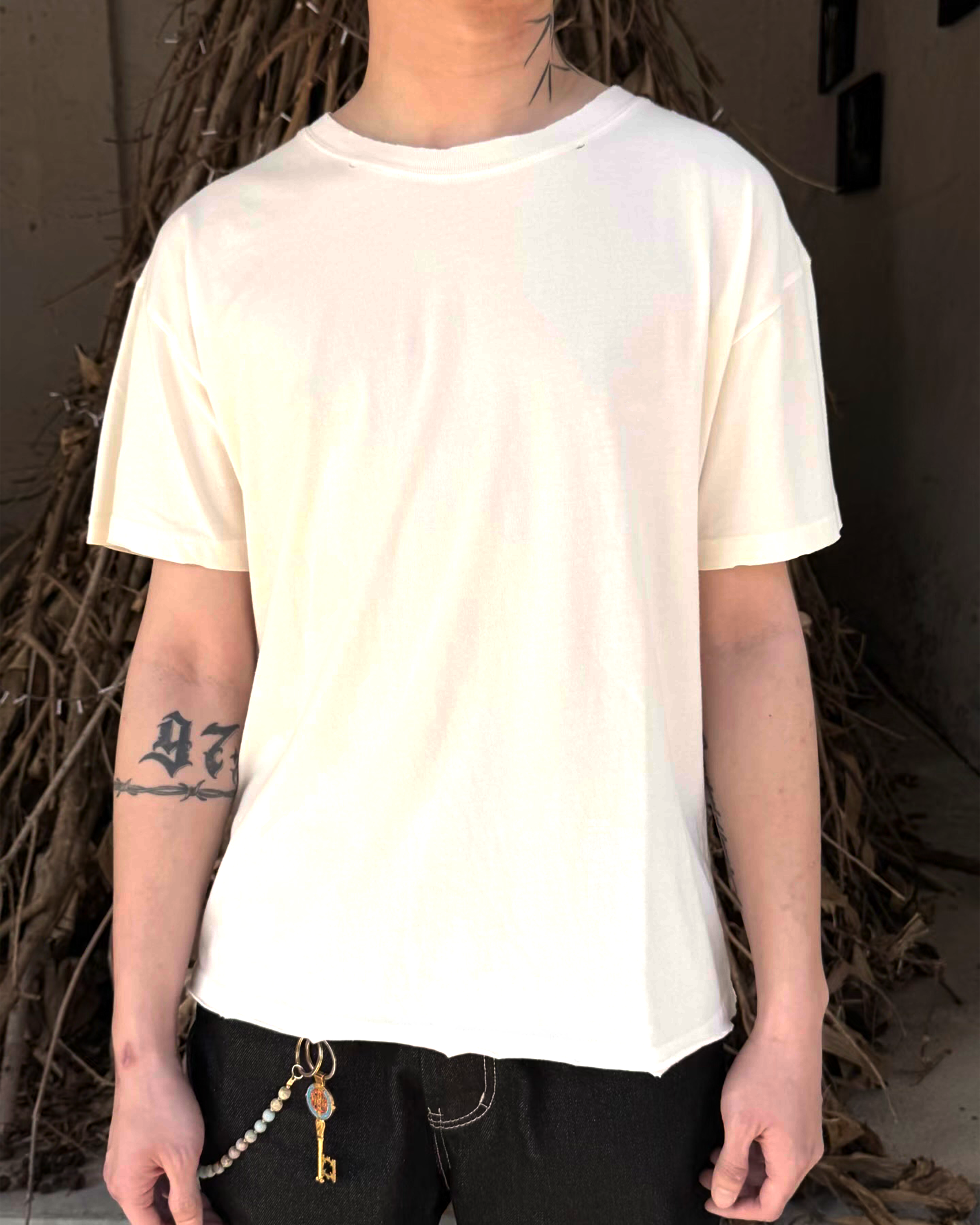 25-50 Core Destroyed Tee DTG Package